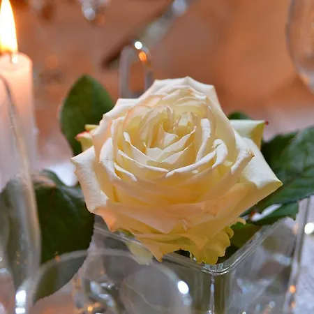 فندق Baumgarten & Baumgarten 3*