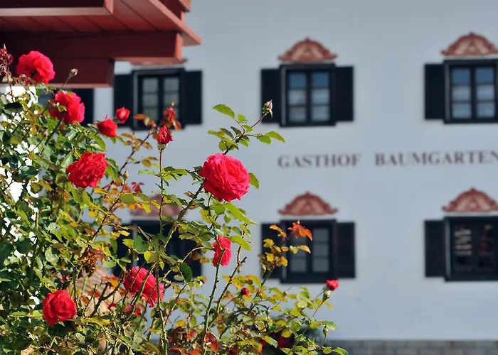 Hotel Baumgarten&chalet Baumgarten 3*