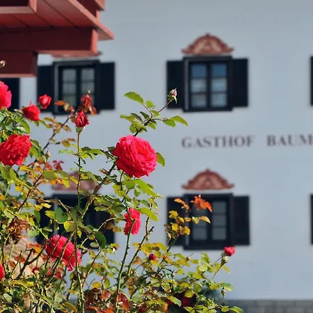 Hotel Baumgarten 3*