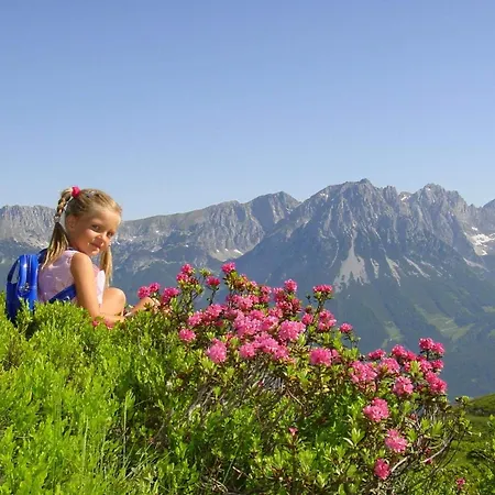 Hotel Baumgarten & Baumgarten Angerberg (Tyrol)